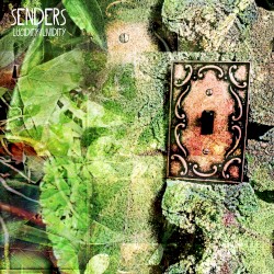 Lucidity / Lividity