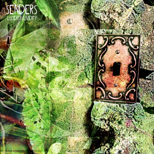 Lucidity / Lividity