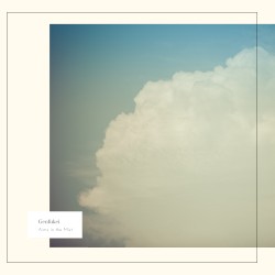 Aims in the Mist