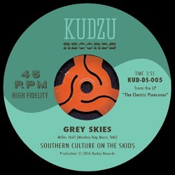 Grey Skies