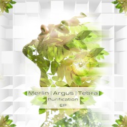 Purification EP