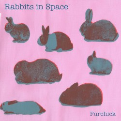 Rabbits in Space