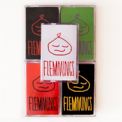 FLEMMINGS