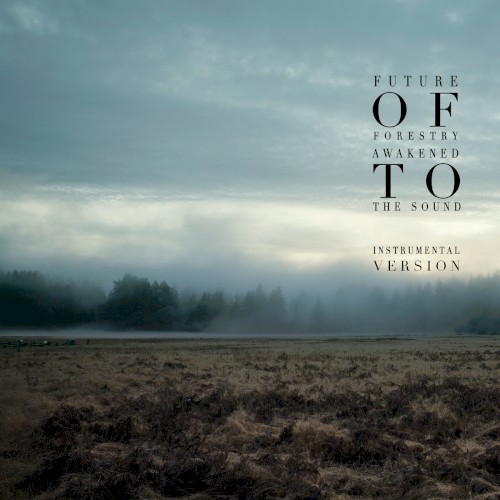 Awakened to the Sound (Instrumental Version)