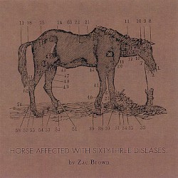 Ride the Sick Horse