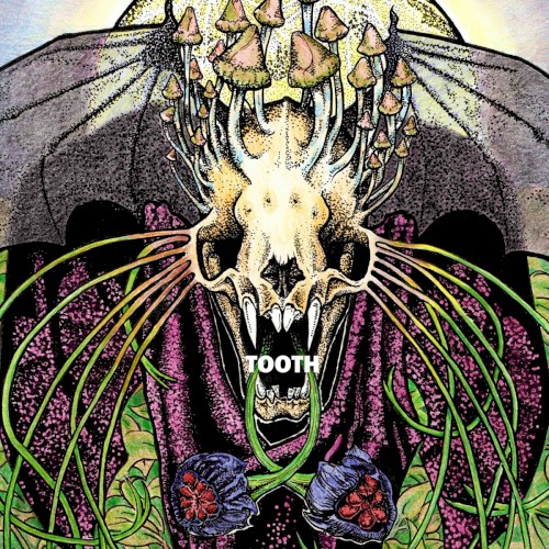 TOOTH