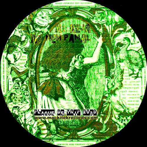 Plaque De Trip 2030