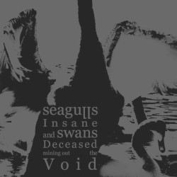 Seagulls Insane and Swans Deceased Mining Out the Void