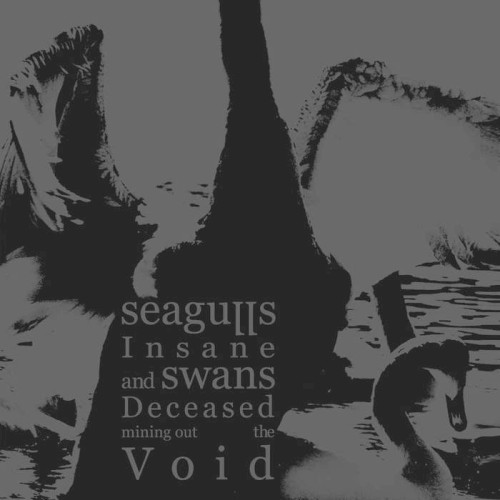 Seagulls Insane and Swans Deceased Mining Out the Void