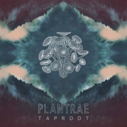 Taproot