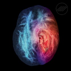 This Is Your Brain On Love