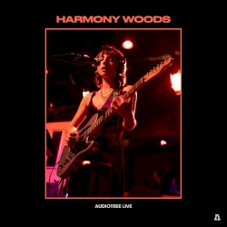 Audiotree Live