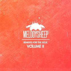 Remixes for the Soul, Volume II