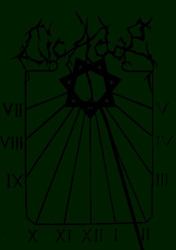 Cicadæ