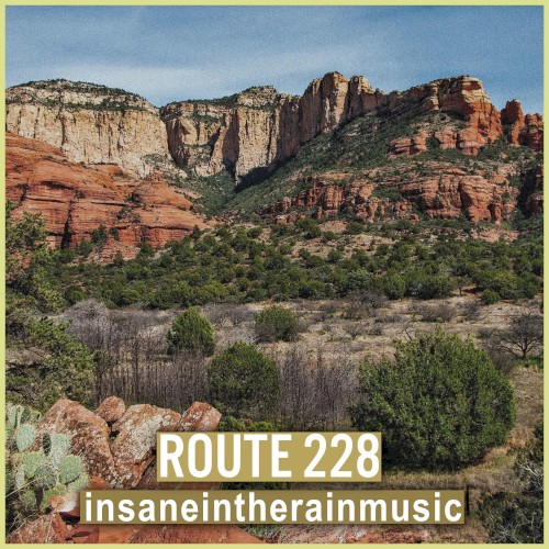 Route 228