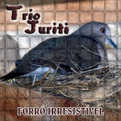 Forró Irresistível