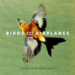 Birds and Airplanes
