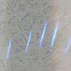 upward motion