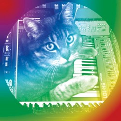 Data Cat