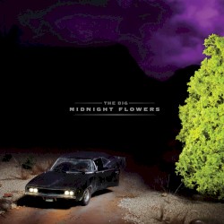 Midnight Flowers