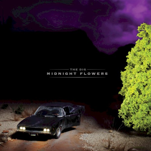 Midnight Flowers