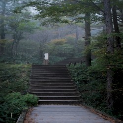 Lost