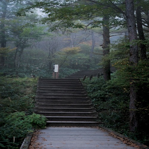 Lost