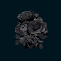 Rmx 001