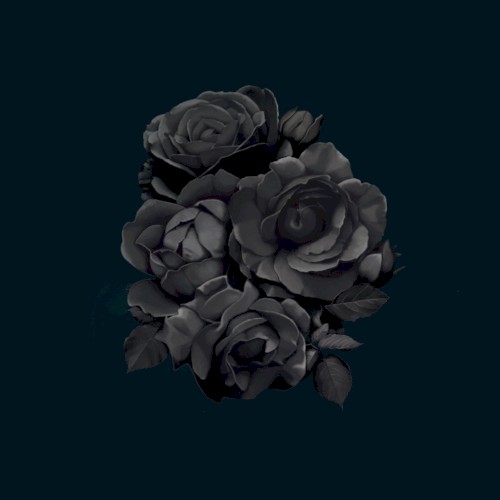 Rmx 001