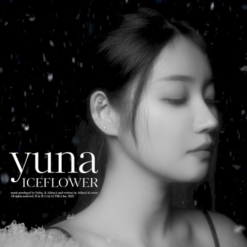 Ice Flower