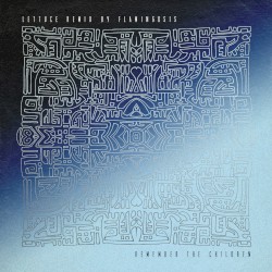 Remember the Children (Flamingosis Remix)