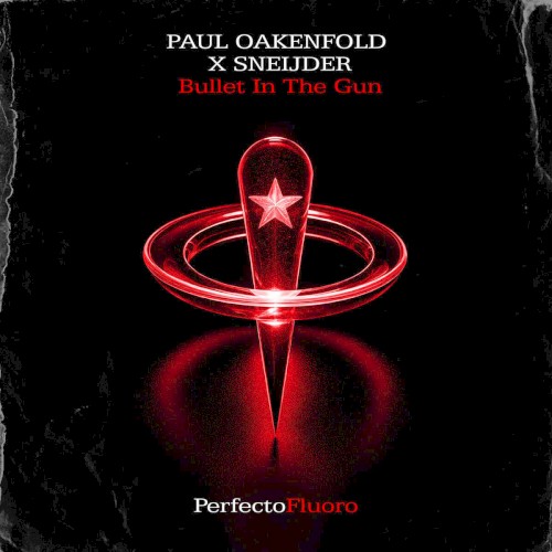 Bullet in the Gun