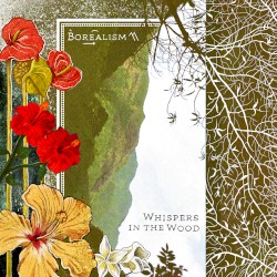 Whispers in the Wood