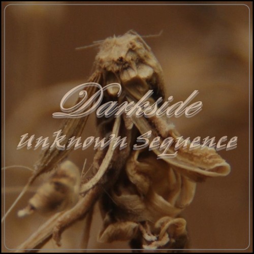 Unknown Sequence