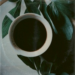 Morning Routine