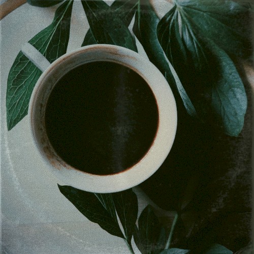 Morning Routine