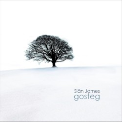 Gosteg