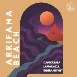 Arrifana Beach