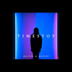 Timestop