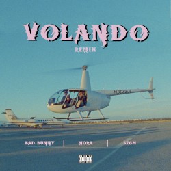 Volando (remix)