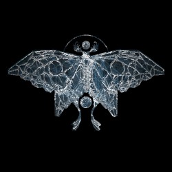 Creation Through Destruction