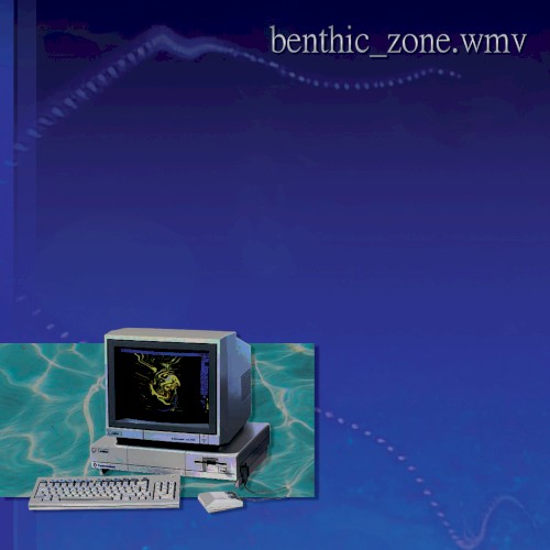 benthic_zone.wmv