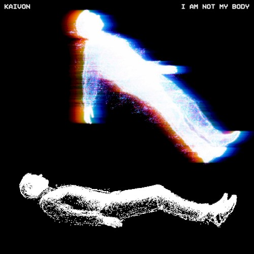 I Am Not My Body