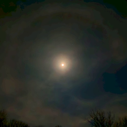 Hibernal Regions