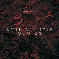 Stupid Little Genius