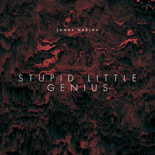 Stupid Little Genius