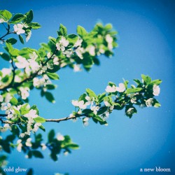 A New Bloom