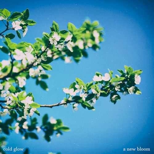A New Bloom