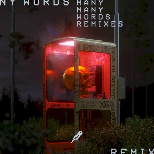 Many Words (remixes)