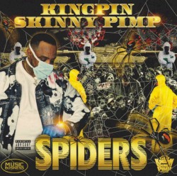 Spiders